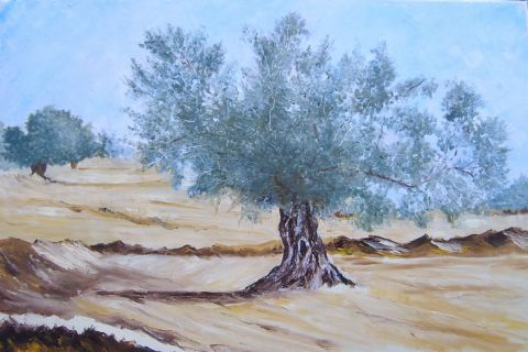 oliviers djerba 2